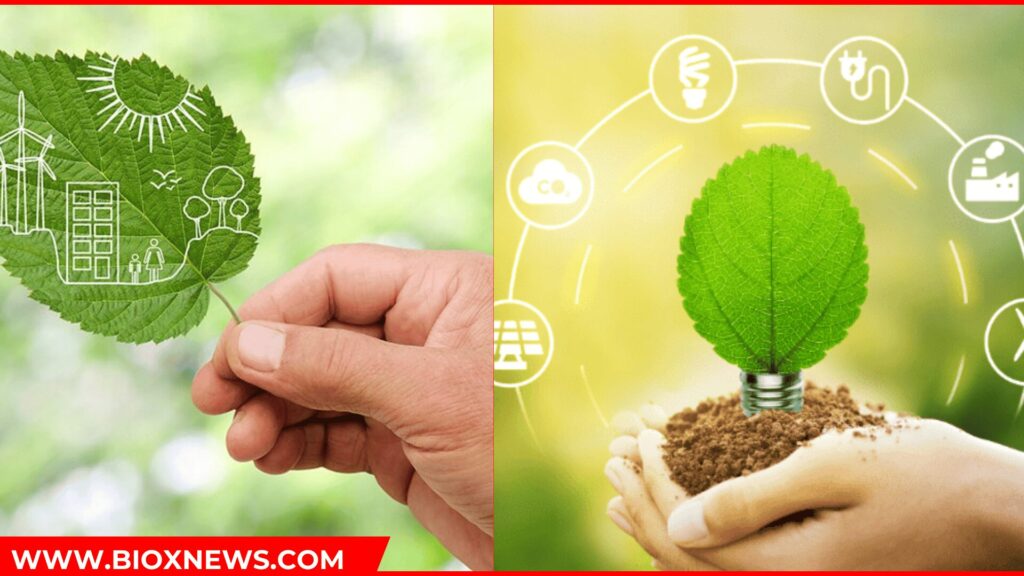 What is bioenergy?