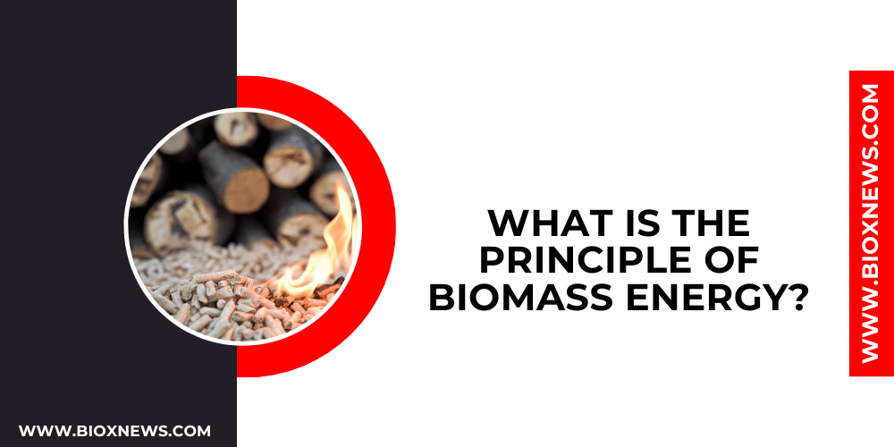 What is the principle of biomass energy?