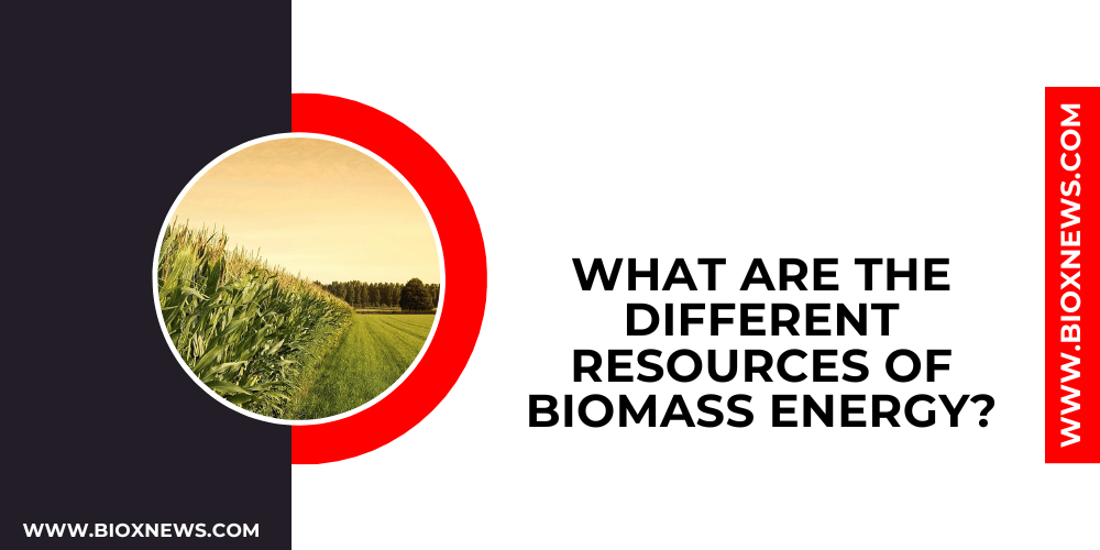 What are the different resources of biomass energy?